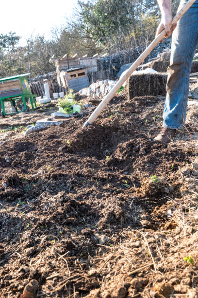 istock Man Preparing the Vegetable Garden Soil for a Spring Planting 1235783280