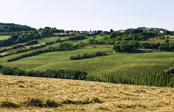 la regione marche, che confina con la toscana, è ricca di paesaggi collinari con prati verdi e campi agricoli e frumento (italia, europa) - panoramic mountain cloudscape borders foto e immagini stock