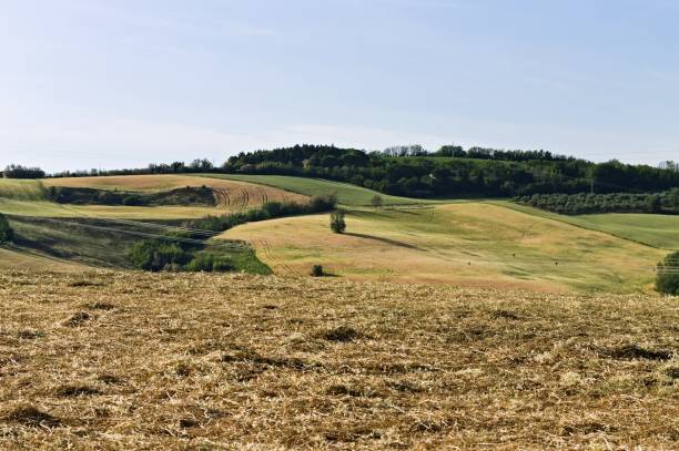 la regione marche, che confina con la toscana, è ricca di paesaggi collinari con prati verdi e campi agricoli e frumento (italia, europa) - panoramic mountain cloudscape borders foto e immagini stock