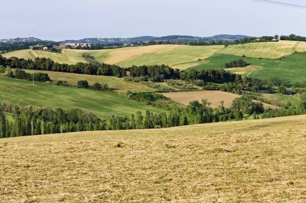 la regione marche, che confina con la toscana, è ricca di paesaggi collinari con prati verdi e campi agricoli e frumento (italia, europa) - panoramic mountain cloudscape borders foto e immagini stock