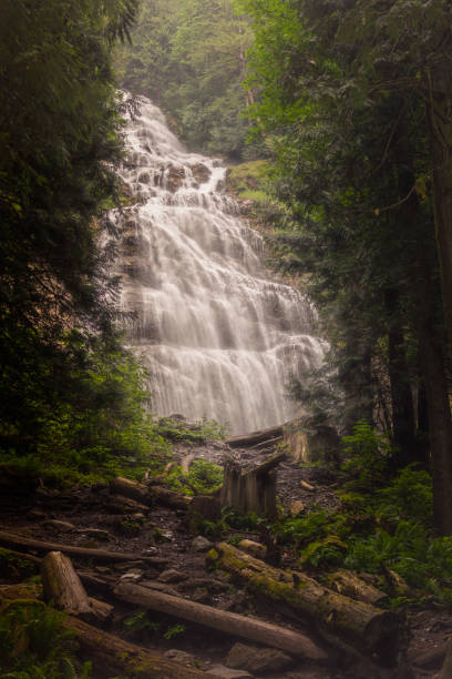 istock Majestic waterfall in the forest 1235825857