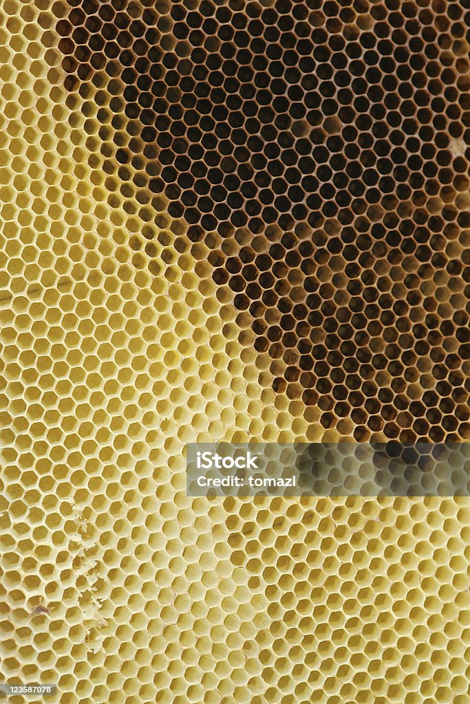 Абстрактный с узором в виде пчелиных сот - Стоковые фото Абстрактный роялти-фри