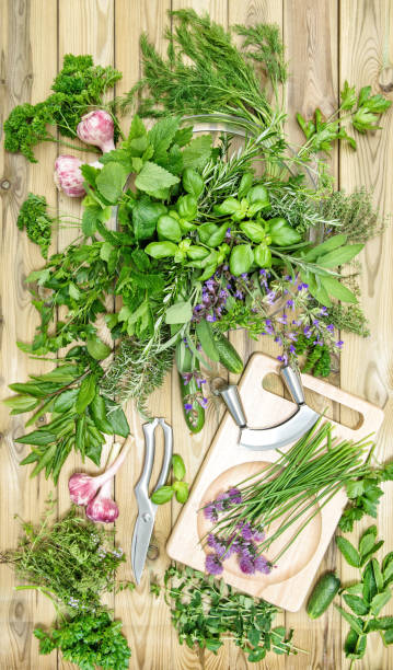 istock Herbs vegetables wooden background Basil parsley mint thyme 1235880294