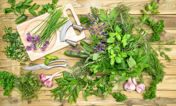 istock Fresh herbs vegetables Basil parsley mint thyme cucumber garlic 1235880308