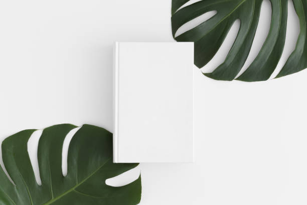 istock Top view of a white book mockup with monstera leaf decoration on a white table. 1235882392