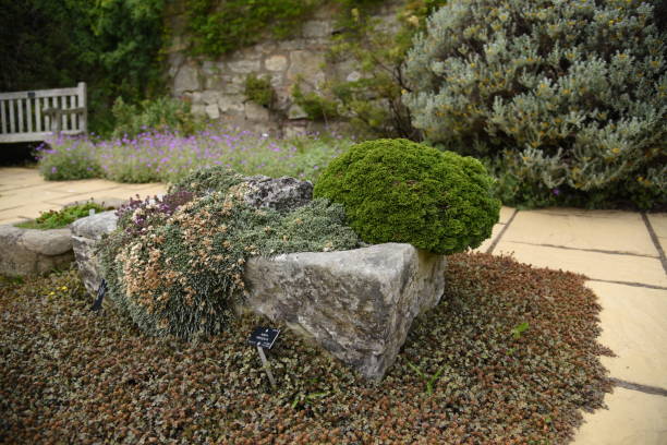 istock Royal Botanic Garden Edinburgh 1235893360