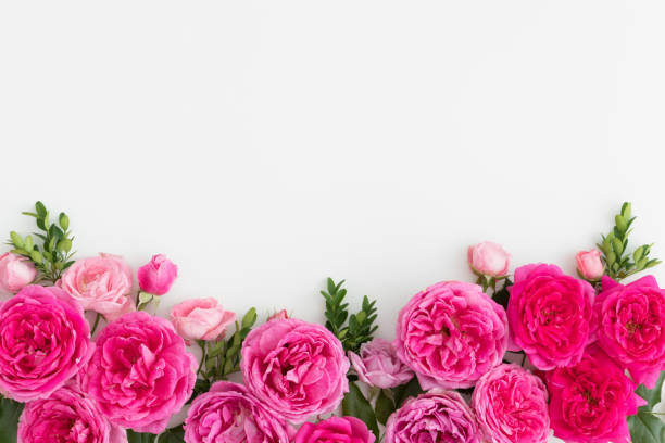 istock Pink roses on a white table. Flat lay with blank copy space. 1235902294
