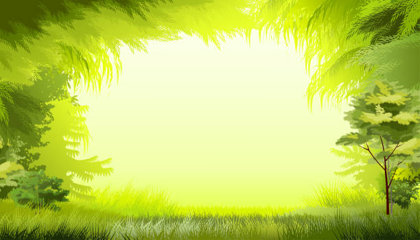 istock Forest background vector. Morning day. Beautiful green landscape. Scenery with trees, branches, grass. Place for text. Deciduous European forest in summer or tropical jungle. Foliage frame. 1235957685