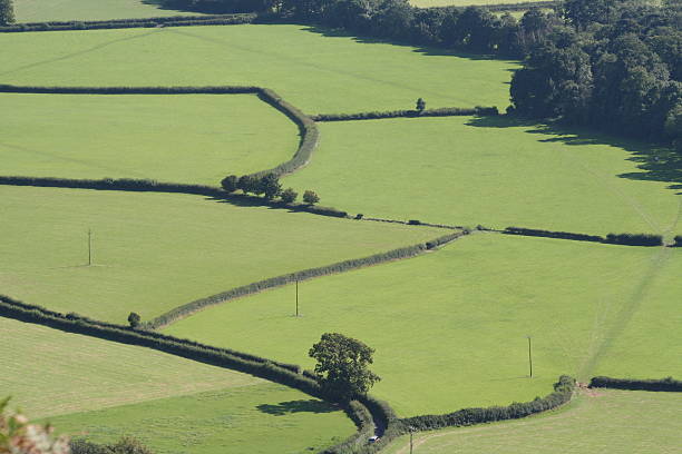 istock patched English landscape 123598475
