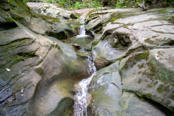 istock Stream in Forest flowing through carved sandstone rock 1235988107