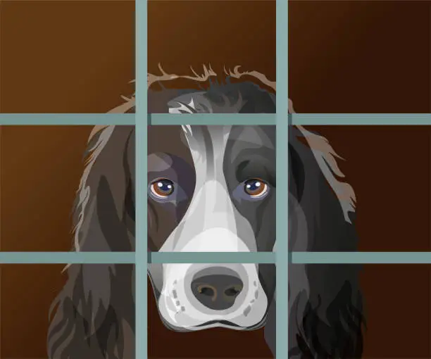 Vector illustration of Lonely dog with sad eyes behind bars