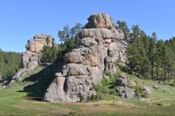 istock Typical scenery in the Black Hills, South Dakota 1236016366