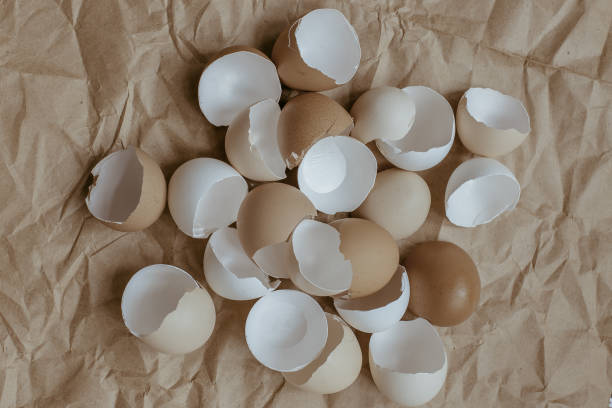 istock Texture of broken empty eggshell on a crumpled brown kraft paper background. View from above. Copyspace. 1236077659
