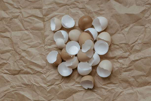 istock Texture of broken empty eggshell on a crumpled brown kraft paper background. View from above. Copyspace. 1236078186