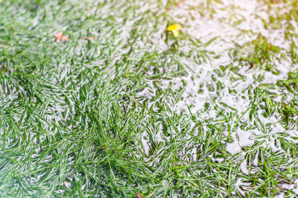 close-up detalhe gramado verde coberto com água devido ao degelo da neve e flash água alta na primavera. desastres naturais inundaram campo agrícola. dilúvio do quintal da casa rural - agricultural equipment flash - fotografias e filmes do acervo