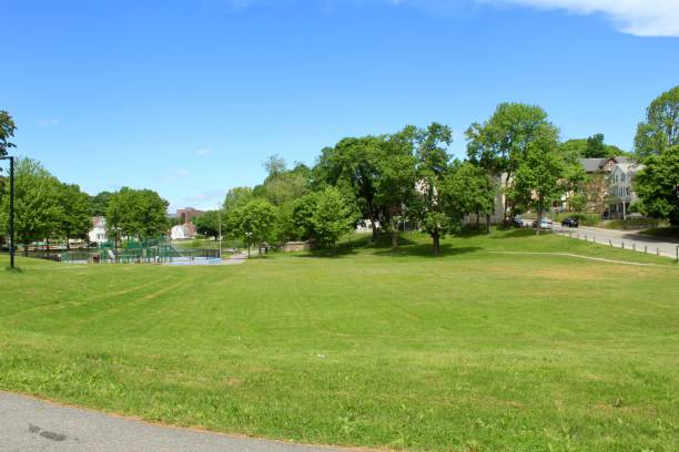 istock grassy landscape at the park 1236125029