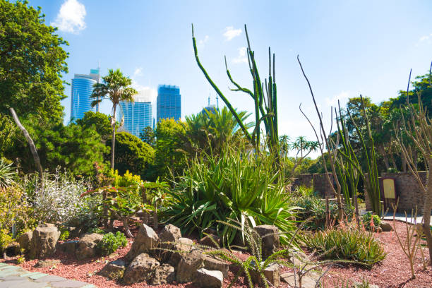 istock Downtown Sydney and Royal Botanic Garden 1236149934