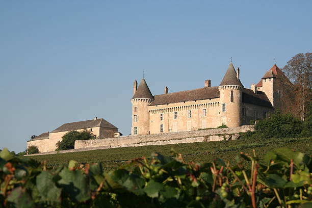 Chateau Rully burgundy France Chateau Rully France bourgogne in sunlight with blue sky burgundy france stock pictures, royalty-free photos & images