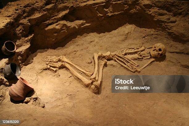 Esqueleto Los Huesos En Grave Foto de stock y más banco de imágenes de Arqueología - Arqueología, Hombre prehistórico, Antiguo