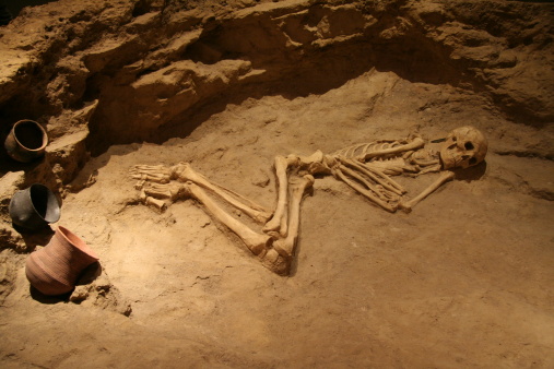 skeleton in buriel place after exavation