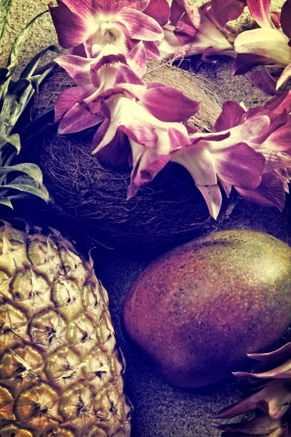 ananas de mangue de noix de coco et lei sur une plage tropicale - coconut orchid flower hawaii islands photos et images de collection