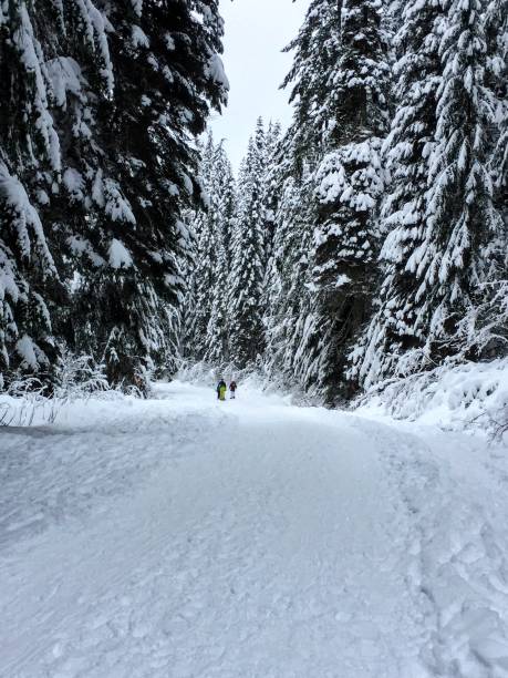 istock snowshoeing in winter wonderland 1236196022