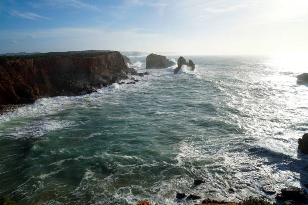 istock wild coast in Algarve 1236242731