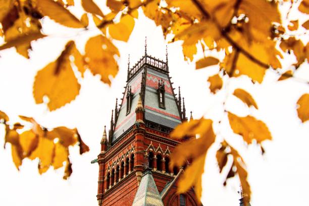 harvard memorial hall - harvard university - fotografias e filmes do acervo