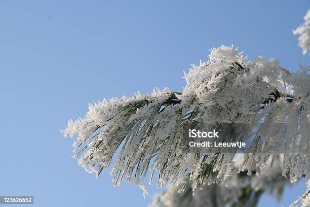 Eiskristalle Auf Gefrorenen Bäumen Blauen Himmel Winter Stockfoto und mehr Bilder von Blau