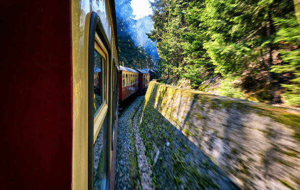 istock Steam locomotive drives through a curve in the forest. Dynamics through motion blur. 1236317325