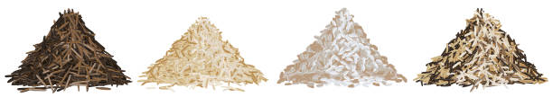 рис типов свая набор вектор иллюстрации панорамный - brown rice basmati rice rice cereal stock illustrations