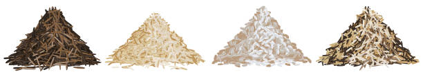 Rice types pile set vector illustration panoramic Realistic rice pile set vector illustration, basmati, risotto, wild brown rice and mixed rice side view wild rice stock illustrations