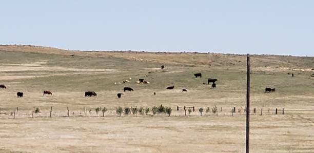 istock Country Living 1236466827