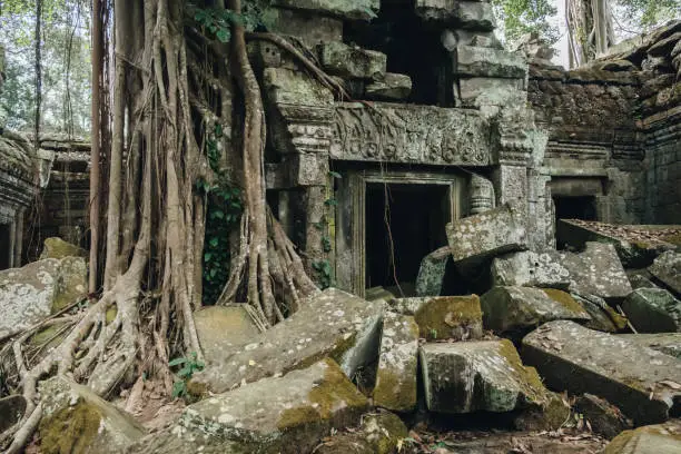 Photo of View of abandoned Ta Prohm temple, one of Angkor's best visited monuments.