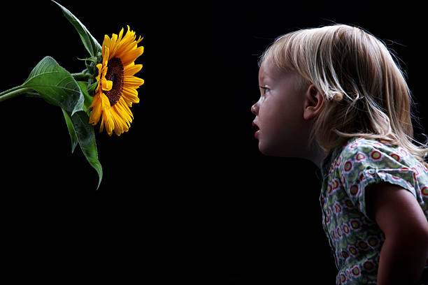niño oliendo girasol - sunflower side view yellow flower fotografías e imágenes de stock