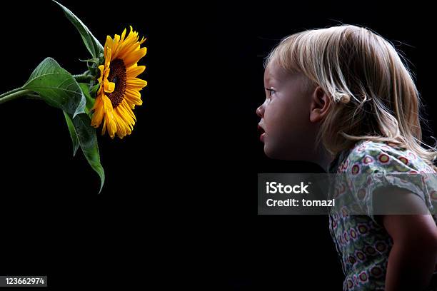 Niño Oliendo Girasol Foto de stock y más banco de imágenes de Girasol - Girasol, Niñas, Fondo negro