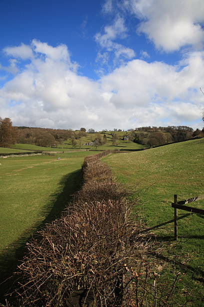 istock Grassland of Lake District 123663725