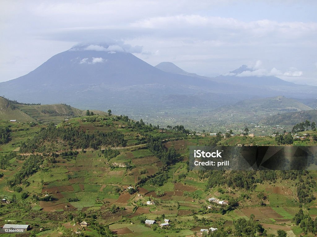 Montañas de Virunga en Uganda - Foto de stock de Agricultura libre de derechos