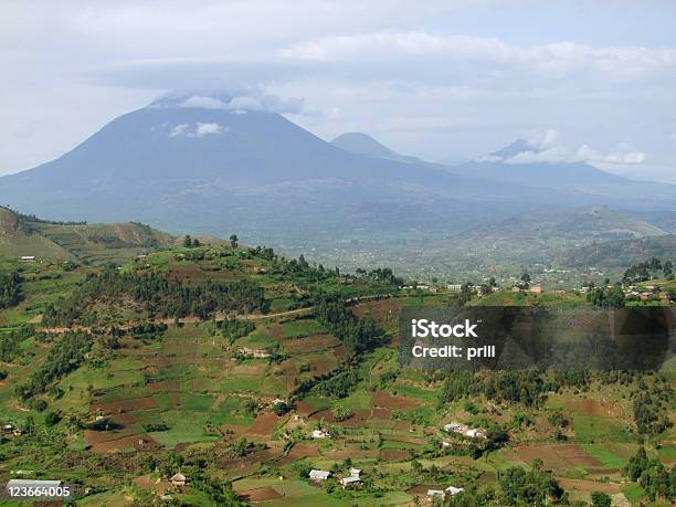 Montañas De Virunga En Uganda Foto de stock y más banco de imágenes de Agricultura - Agricultura, Aire libre, Ajardinado