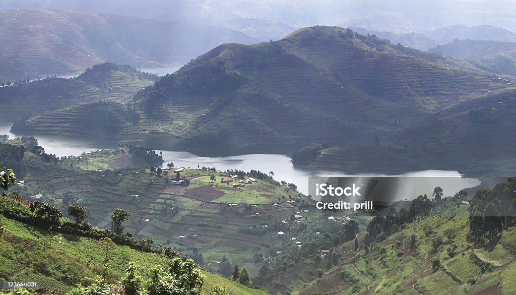 Montañas de Virunga en Uganda - Foto de stock de Agricultura libre de derechos