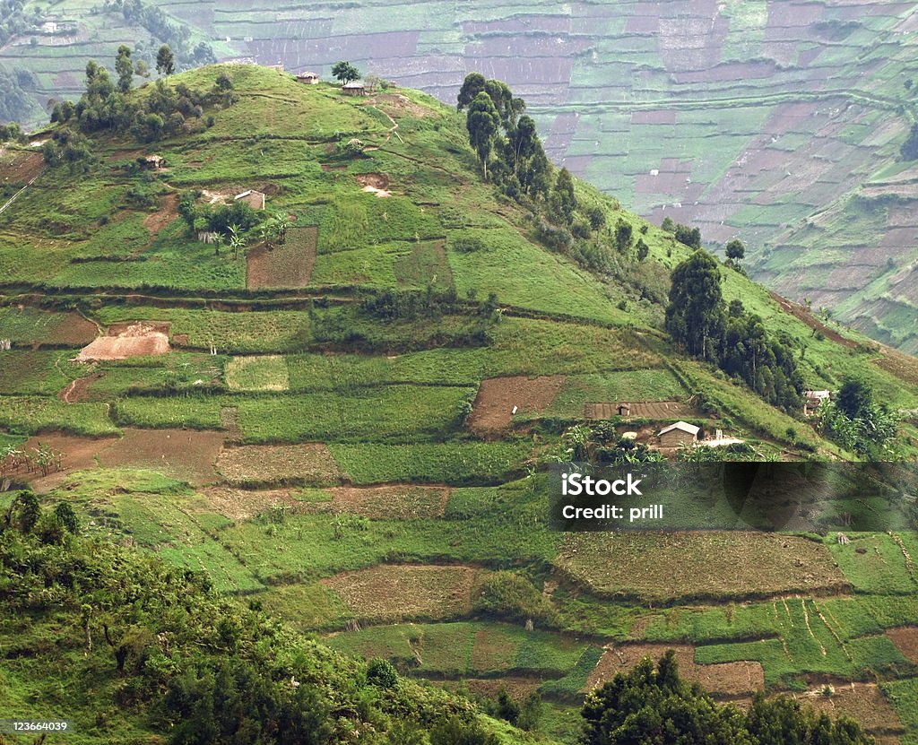 Virunga montanhas na África - Foto de stock de Agricultura royalty-free