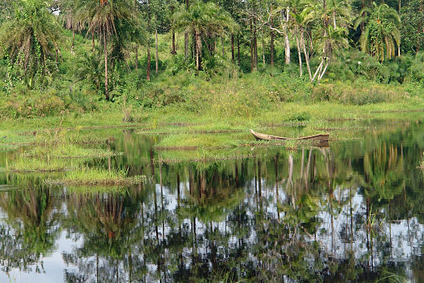 istock waterside vegetation in the Kabwoya Wildlife Reserve 123664208