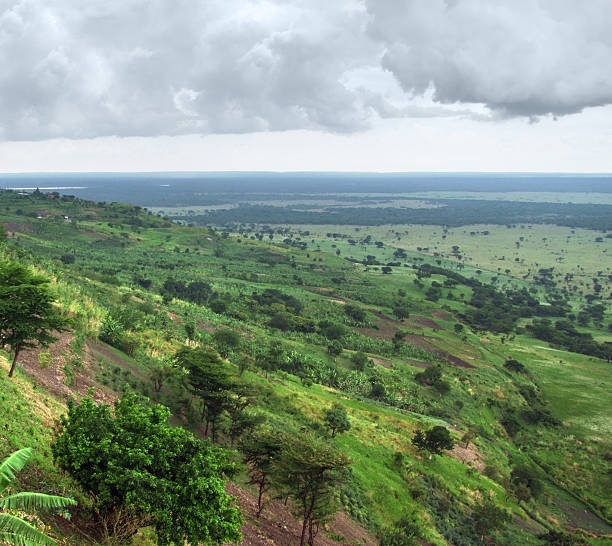 istock Queen Elizabeth National Park in Uganda 123664213