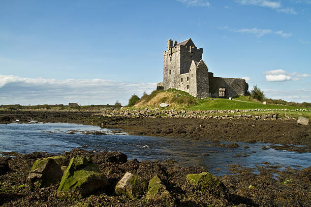 château de dunguaire - kinvara photos et images de collection