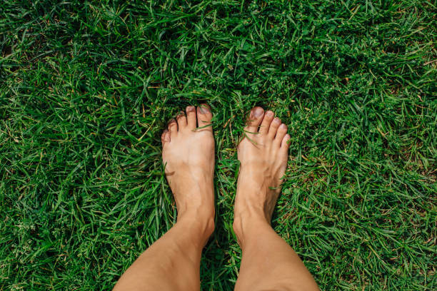 istock Bare woman's feet on the fresh green grass 1236708678