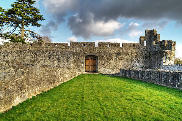 istock Fortifications of Adare castle HDR 123675570