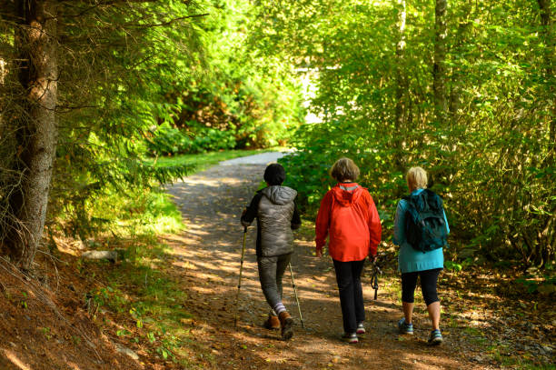 istock Senior women hiking in the forest 1236773352