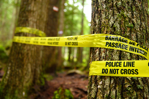 Crime scene investigation in the forest. Crime and criminal investigation concepts.