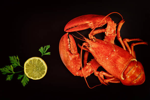 istock Red ocean lobster on black surface. Seafood concept. 1236806118