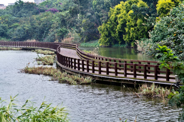 istock Wooden bridge over the lake 1236806974
